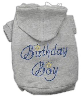 Birthday Boy Hoodies Grey Xs (8)